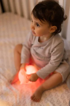 bblüv Natlampe med Touch & Fjernbetjening, Ugle