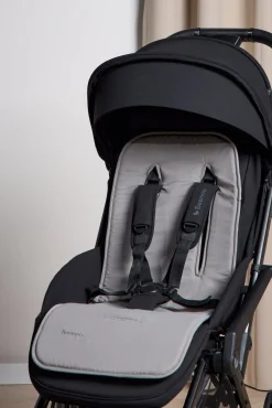 Beemoo Hynde, Grey Swallow