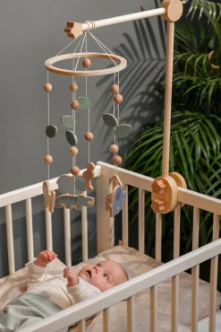 Jabadabado Sengeuro Safari, Multi