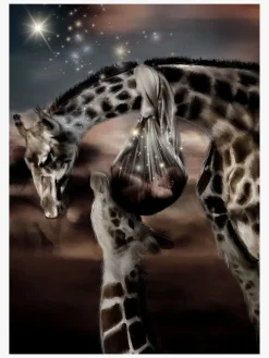 Linn Wold Plakat 30x40 Lille Håbefulde