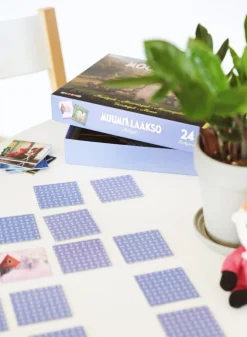 Mumitroldene Spil Mumidalens Memory