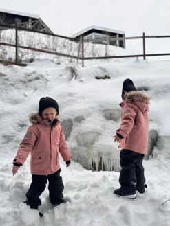 Nordbjörn Avalanche Vinterjakke, Ash Rose