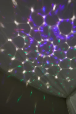 Peter Plys Projektor, Rose