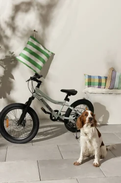 Pinepeak Forest Børnecykel 20 Tommer