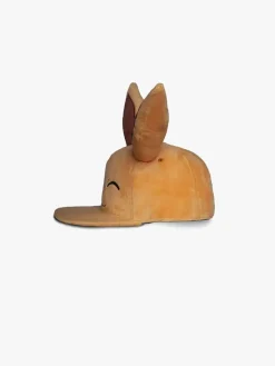 Pokémon Kasket, Winking Eevee