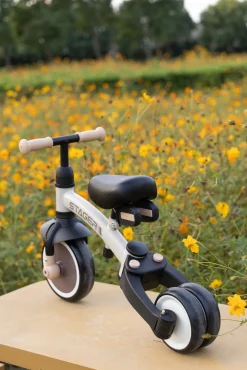 QPlay Stager 3-i-1 Transformerbar Trehjulet Cykel, Brun