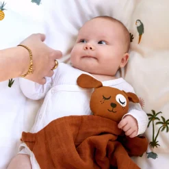 Roommate Nusseklud Hund, Brown