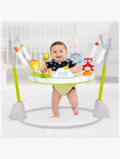 Skip Hop Explore & More Hoppegynge