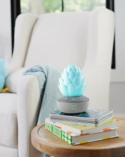 SkipHop Sukkulent Natlampe med Grædesensor