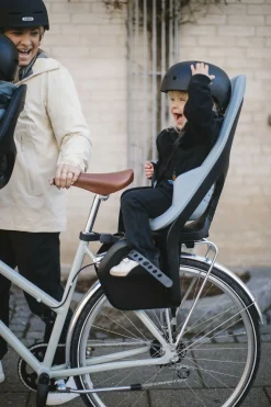 Thule Yepp 2 Maxi Rack Mount Cykelstol, Alaska